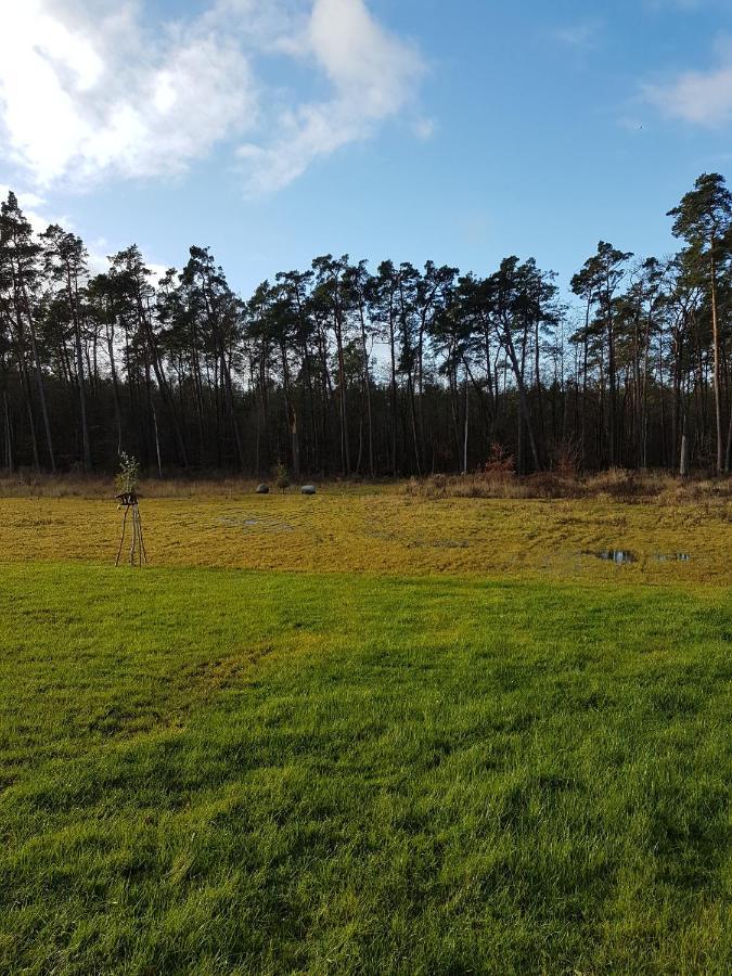Sonnenstrahl Im Kuestenwald Gelbensande Dış mekan fotoğraf