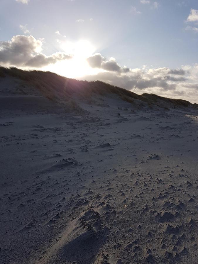 Sonnenstrahl Im Kuestenwald Gelbensande Dış mekan fotoğraf
