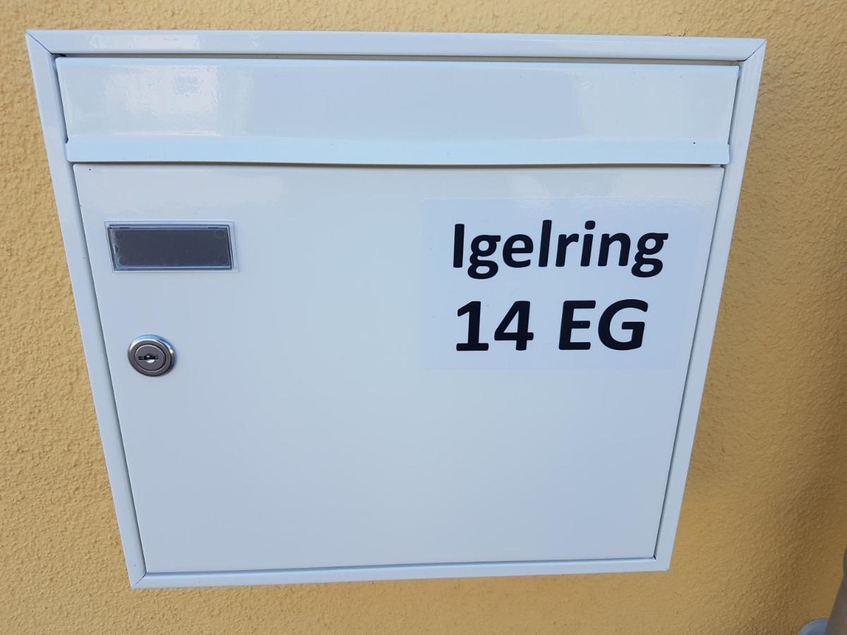 Sonnenstrahl Im Kuestenwald Gelbensande Dış mekan fotoğraf